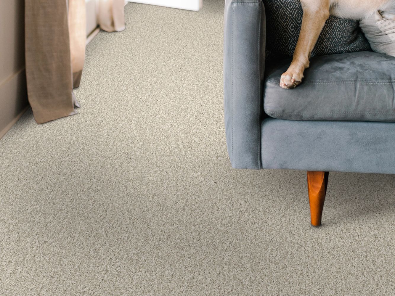 Shaw Floors Pet Perfect You Got This I Warm Light 00116_5E560