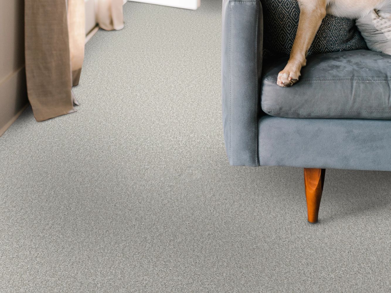 Shaw Floors Pet Perfect You Got This I Whitecap 00155_5E560