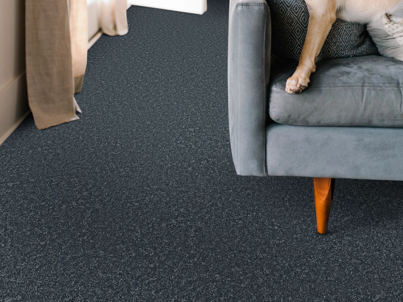 Shaw Floors Pet Perfect You Got This I Refined 00402_5E560