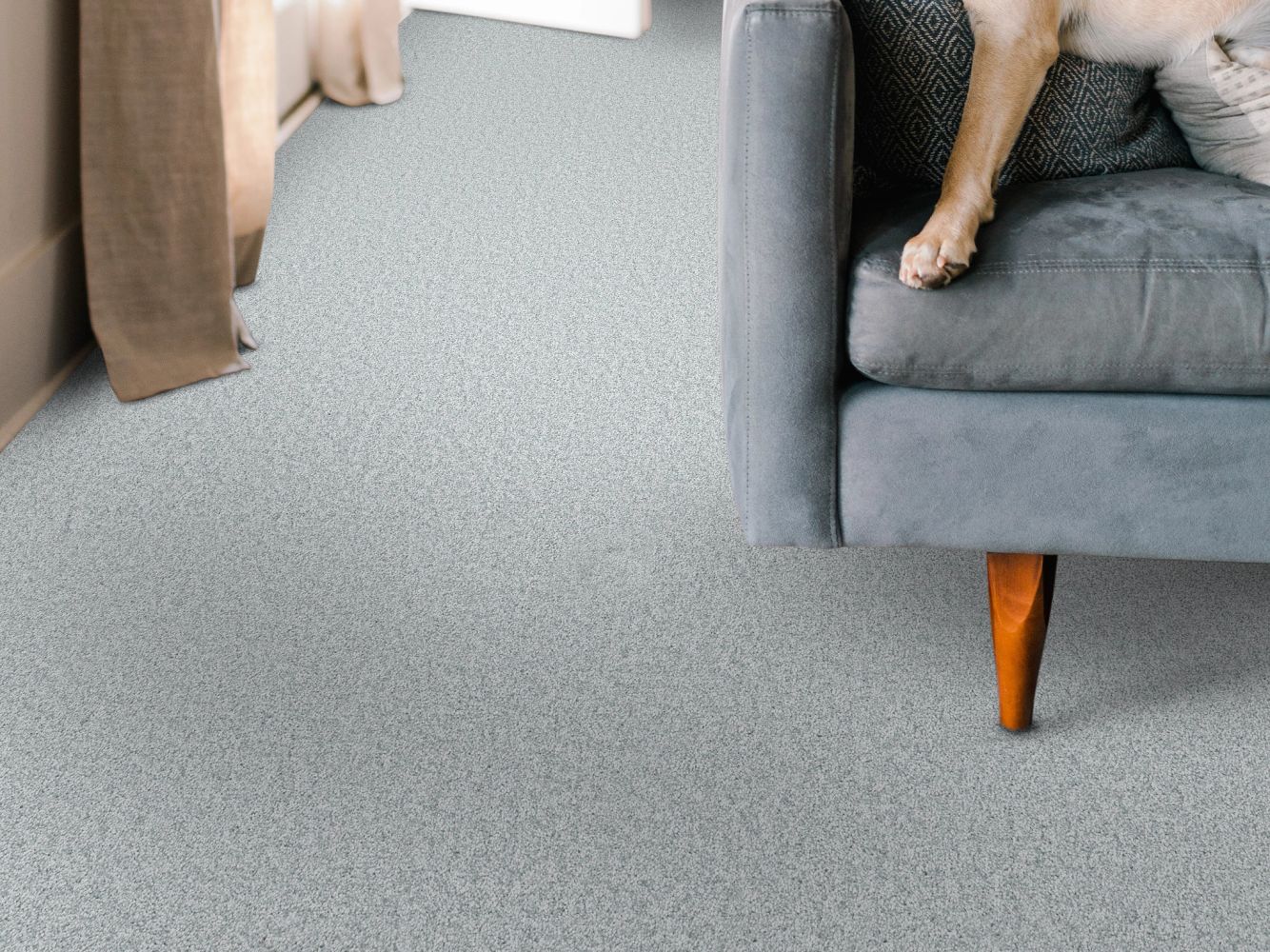 Shaw Floors Pet Perfect You Got This I Serene Blue 00453_5E560
