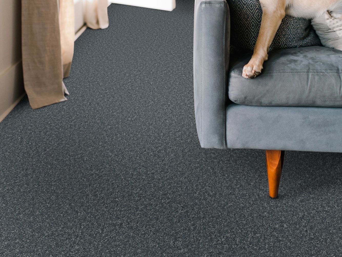 Shaw Floors Pet Perfect You Got This I Reflection 00454_5E560