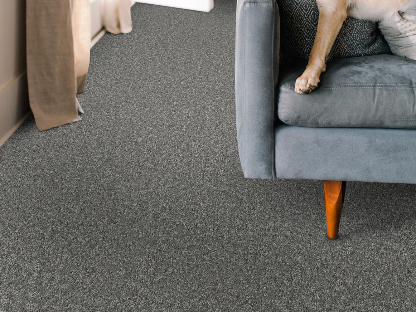 Shaw Floors Pet Perfect You Got This I Ashes 00501_5E560