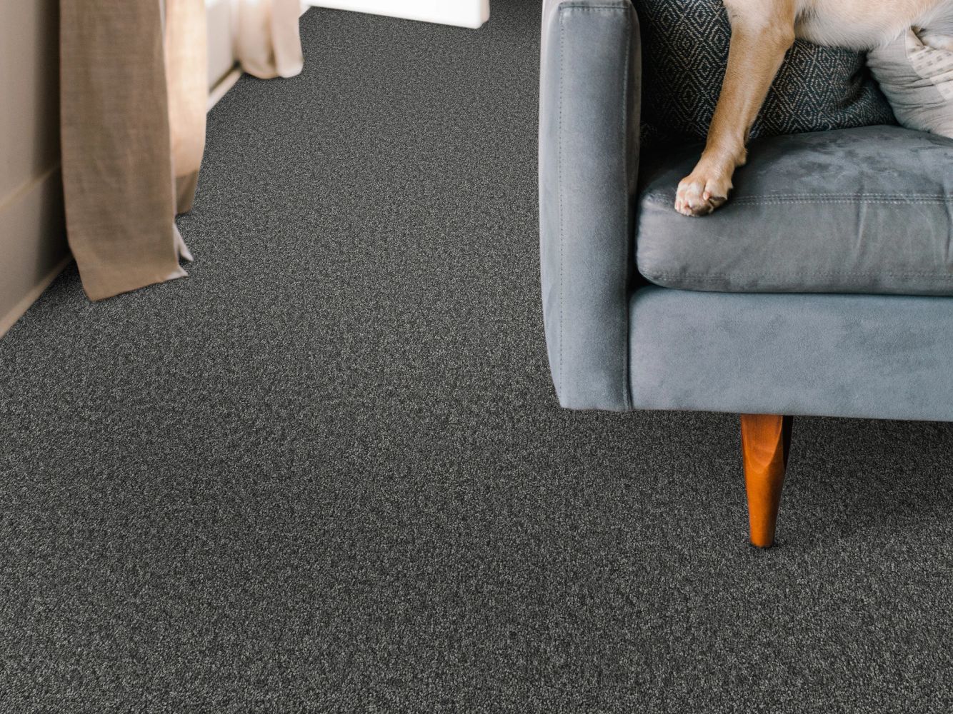 Shaw Floors Pet Perfect You Got This I Shadow 00502_5E560
