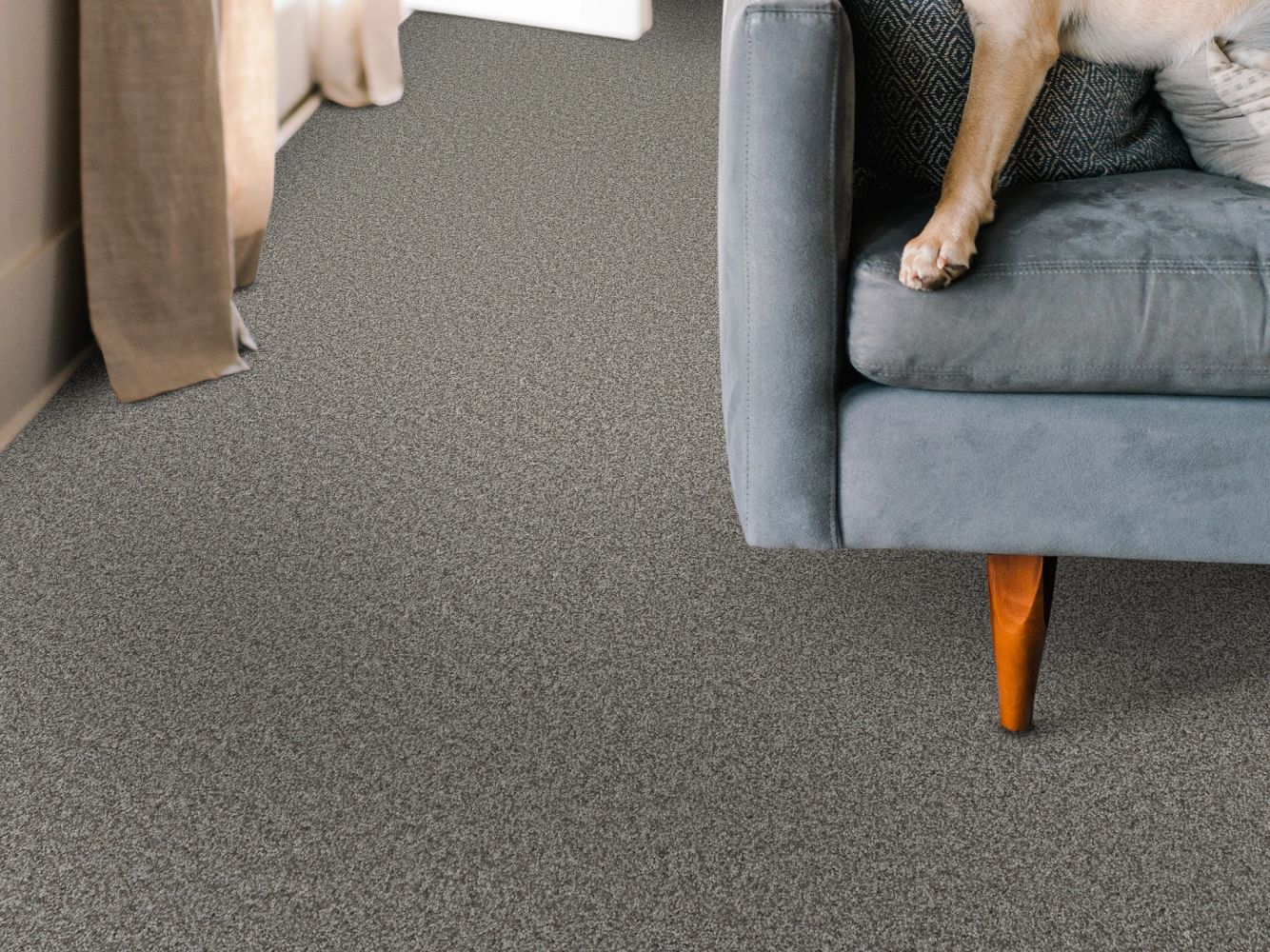 Shaw Floors Nfa Big News I Vintage 00509_NA539