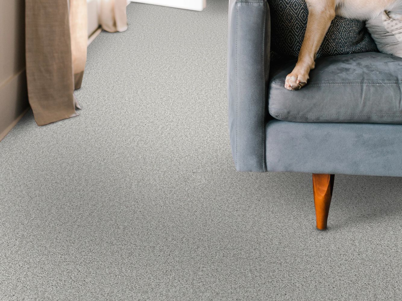 Shaw Floors Pet Perfect You Got This I Lilac Gray 00550_5E560