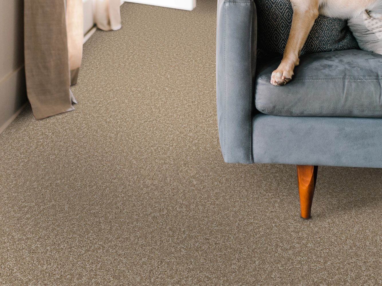 Shaw Floors Pet Perfect You Got This I Worn Path 00700_5E560