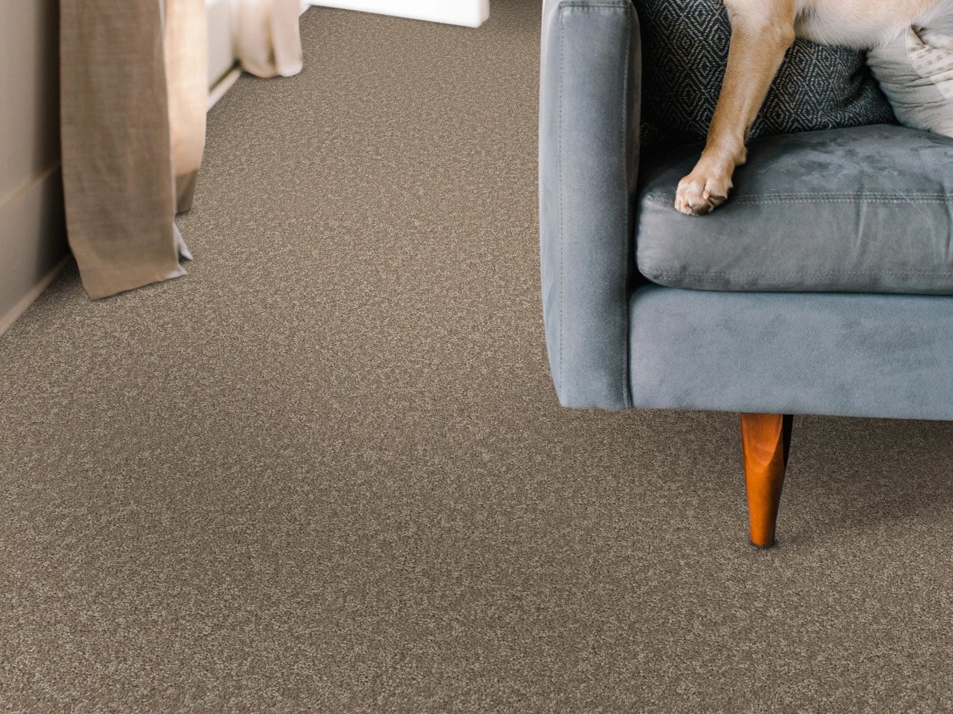 Shaw Floors Pet Perfect You Got This I Mission Ridge 00705_5E560