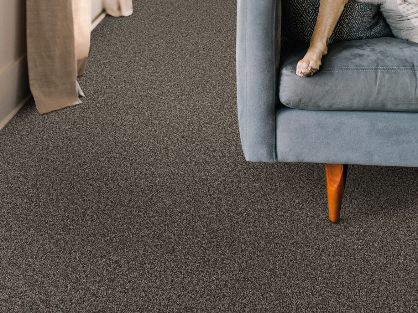 Shaw Floors Pet Perfect You Got This I Urban Rustic 00708_5E560