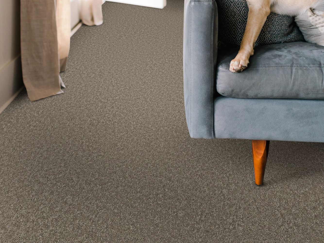 Shaw Floors Pet Perfect You Got This I Cobblestone 00750_5E560