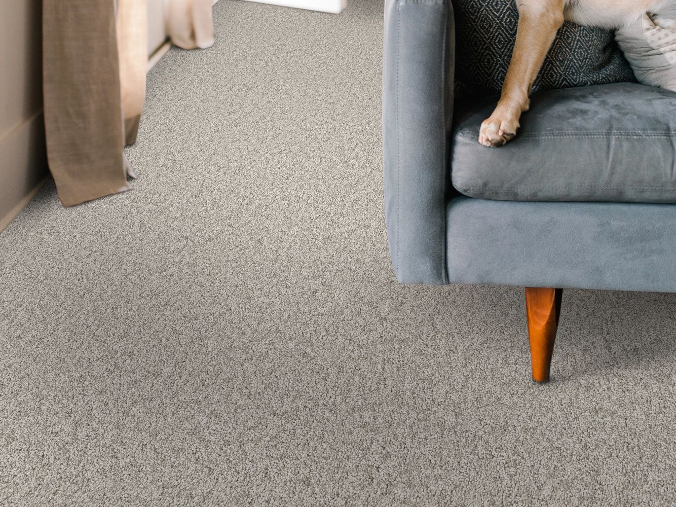 Shaw Floors Nfa BIG NEWS II Chic Greige 00111_NA540