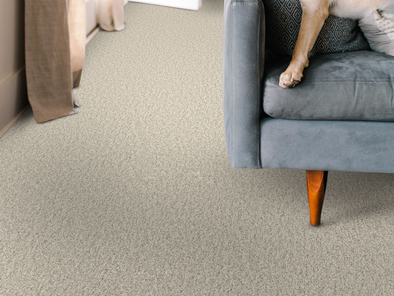 Shaw Floors Nfa BIG NEWS II Warm Light 00116_NA540