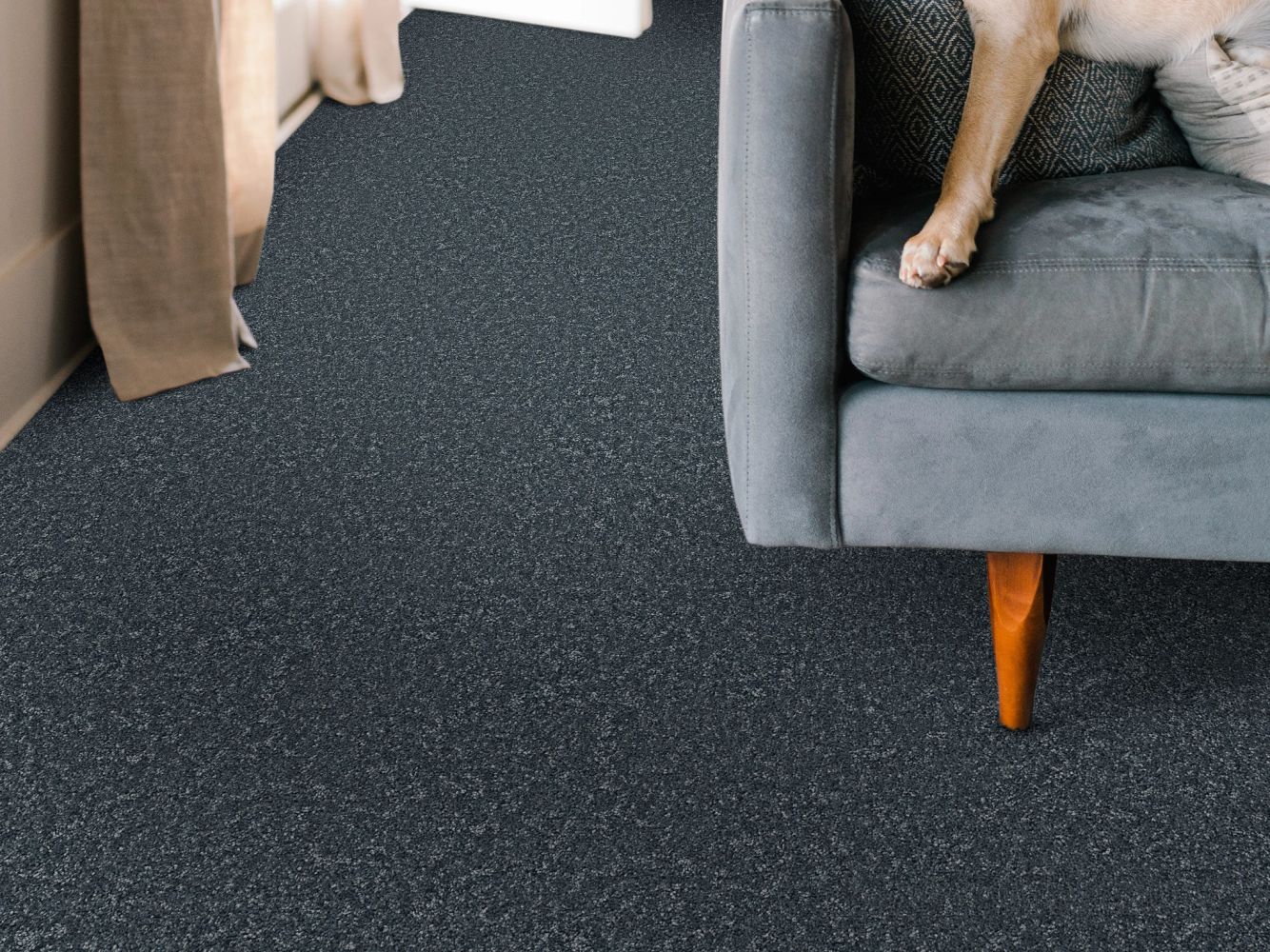 Shaw Floors Nfa BIG NEWS II Refined 00402_NA540