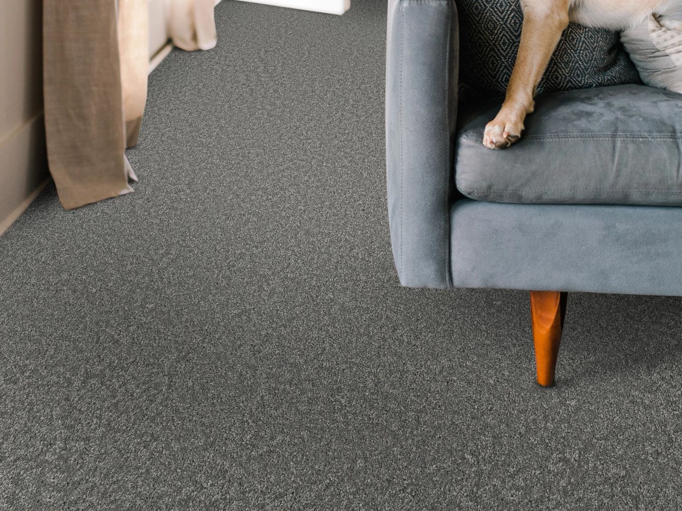 Shaw Floors Nfa BIG NEWS II Ashes 00501_NA540