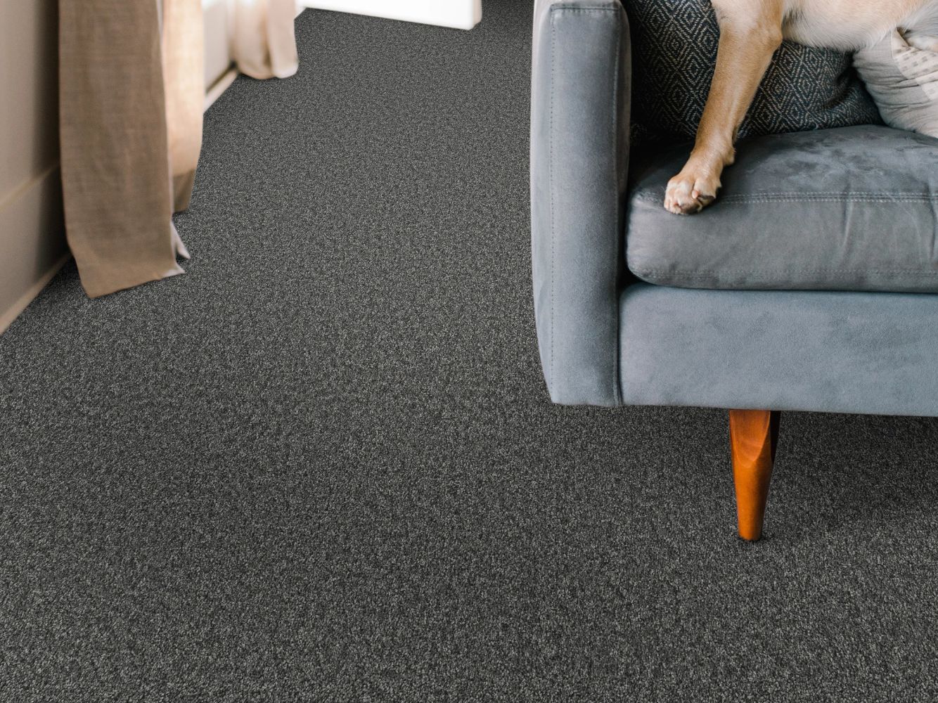 Shaw Floors Nfa BIG NEWS II Shadow 00502_NA540