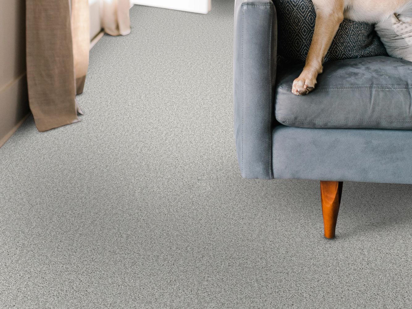 Shaw Floors Nfa BIG NEWS II Lilac Gray 00550_NA540