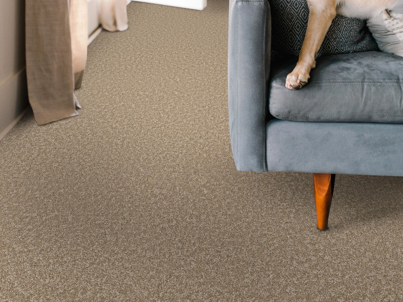 Shaw Floors Nfa BIG NEWS II Worn Path 00700_NA540