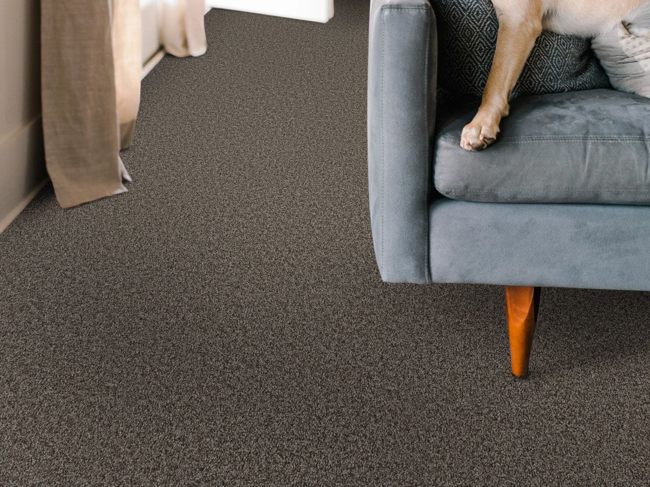 Shaw Floors Nfa BIG NEWS II Urban Rustic 00708_NA540