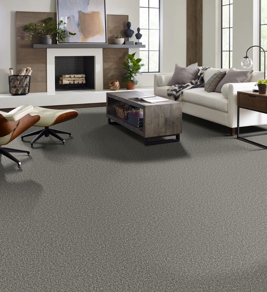 Shaw Floors Pet Perfect Plus RENEWED ENERGY I Paris Sky 00413_5E671