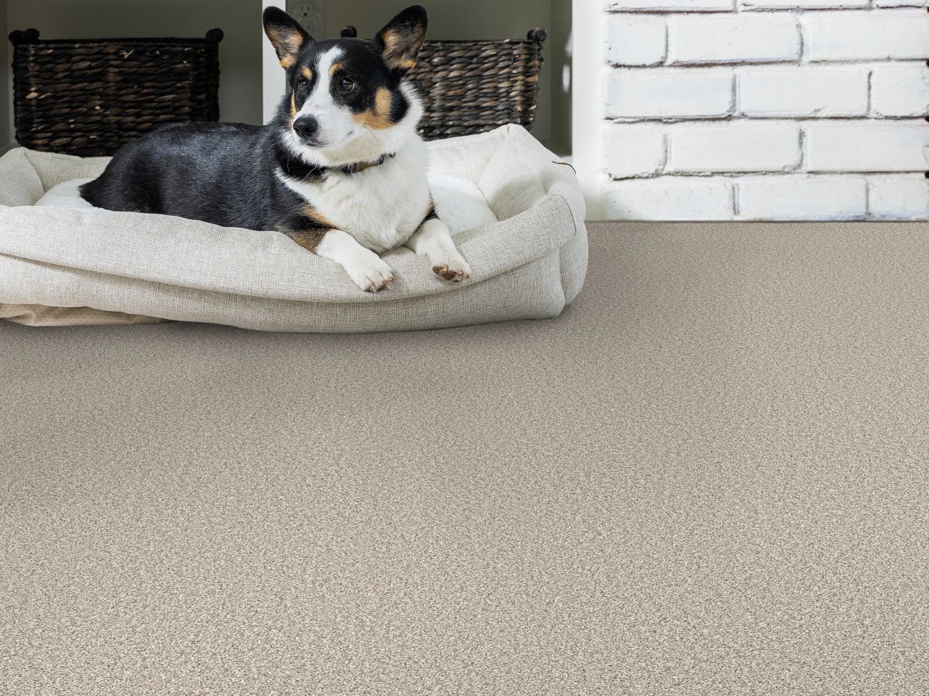 Shaw Floors Pet Perfect Remixed Classic Canoe 00125_5E679