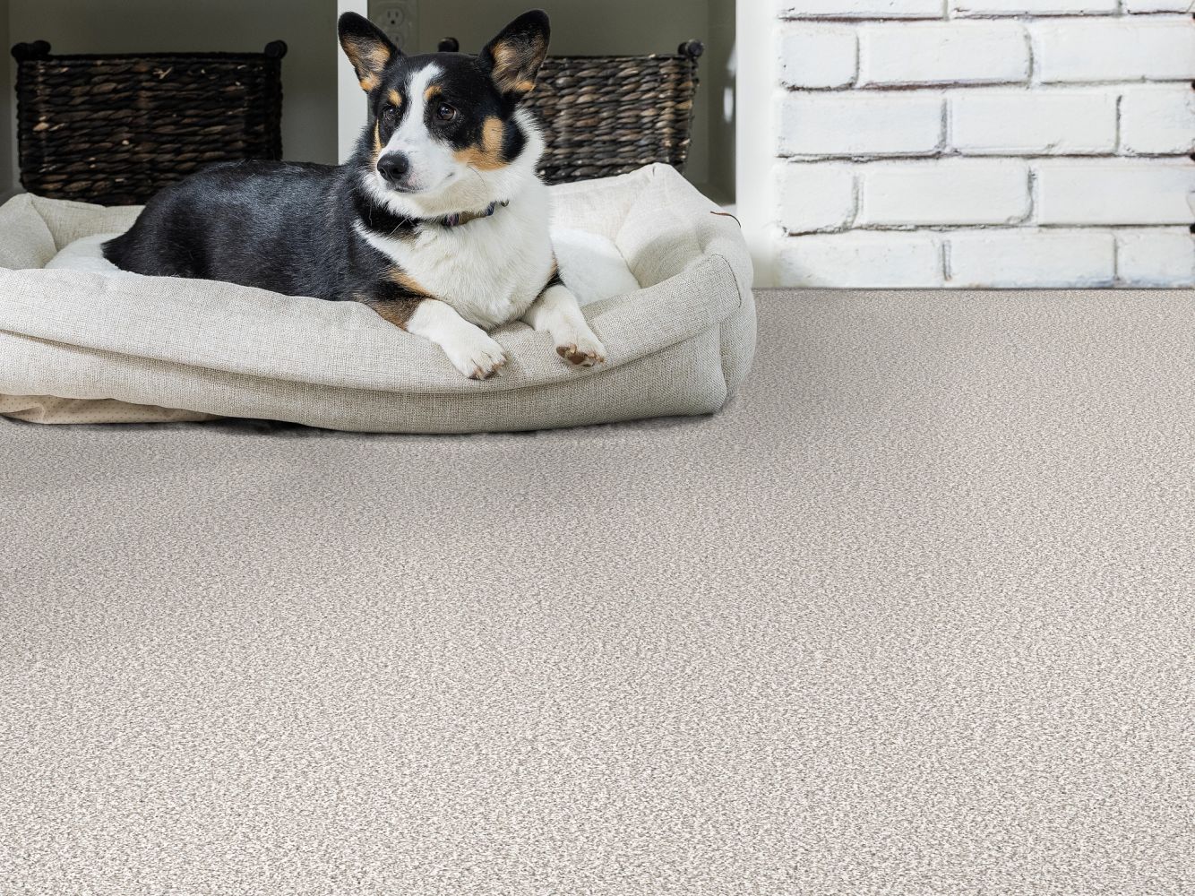 Shaw Floors Pet Perfect Remixed Classic Silver Lining 00517_5E679