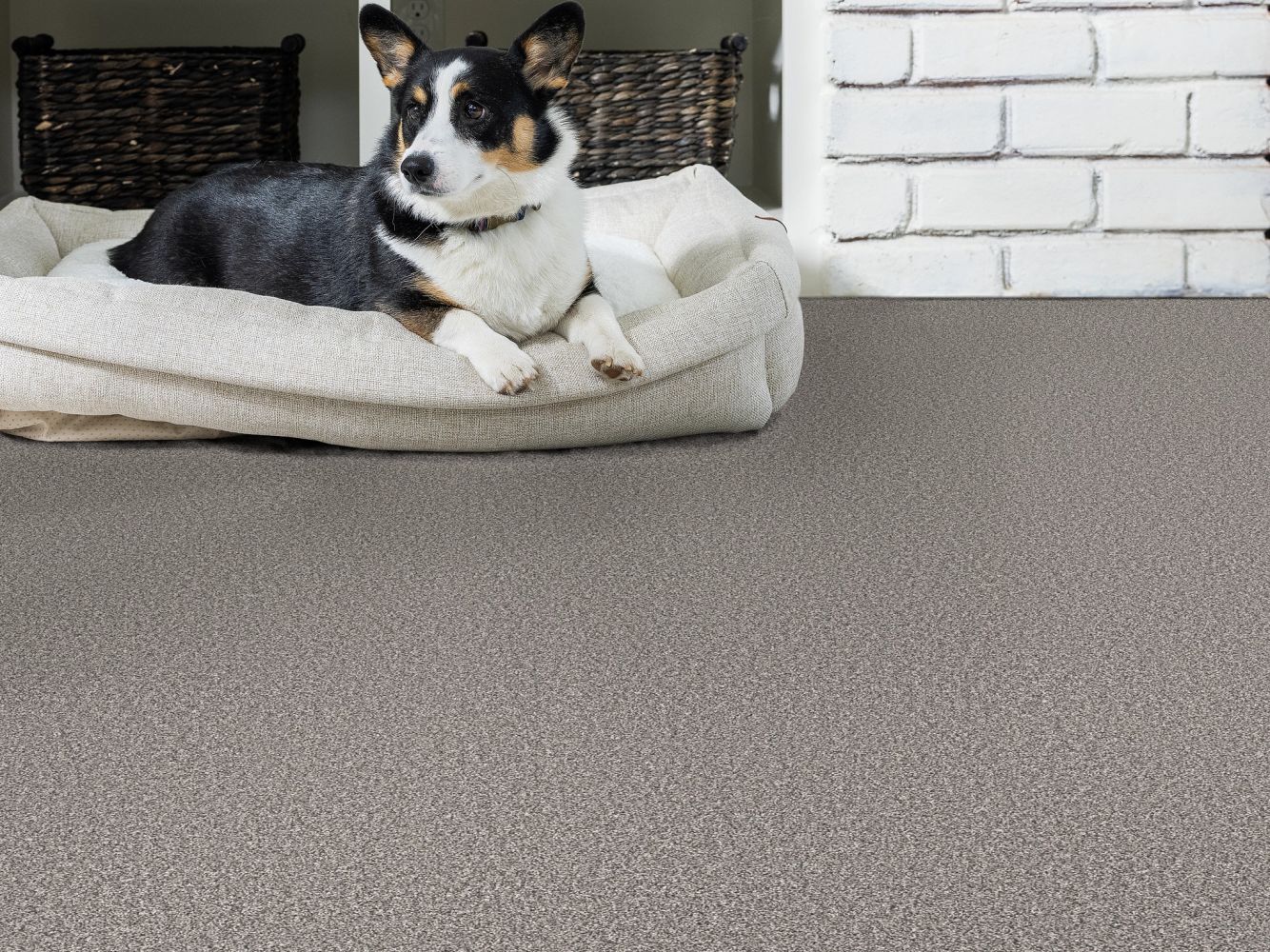 Shaw Floors Pet Perfect Remixed Classic Antique Pewter 00519_5E679