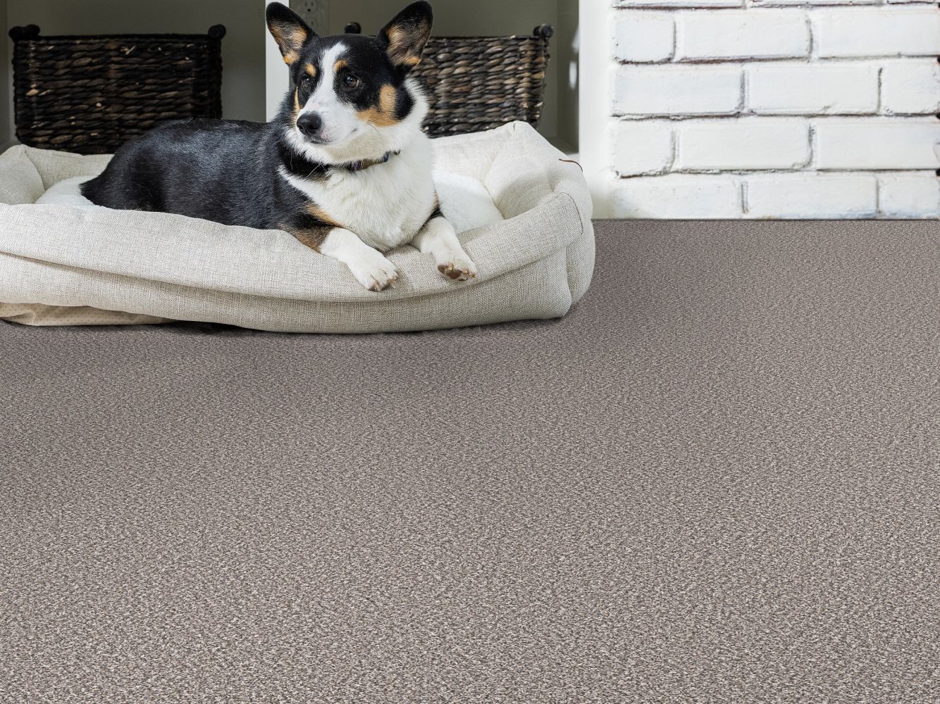 Shaw Floors Pet Perfect Remixed Classic Mineral 00522_5E679