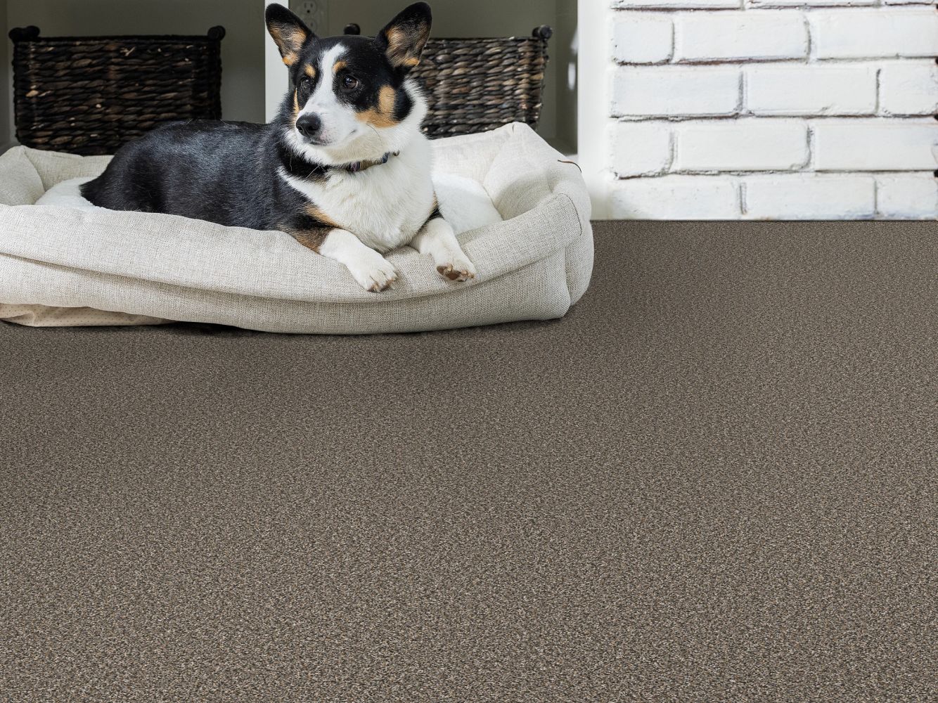 Shaw Floors Pet Perfect Remixed Classic Rock Garden 00716_5E679