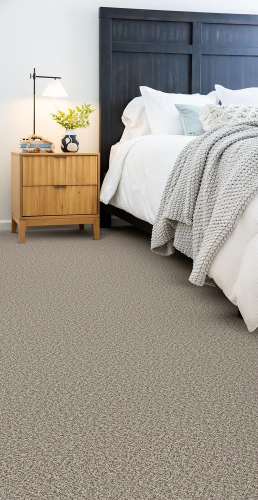 Shaw Floors Simply The Best Feelin’ Alright Stepping Stone 00133_5E741
