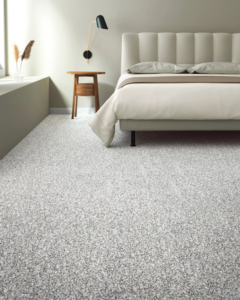 Shaw Floors Simply The Best SOFT EFFERVESCENCE Thin Ice 00507_5E783