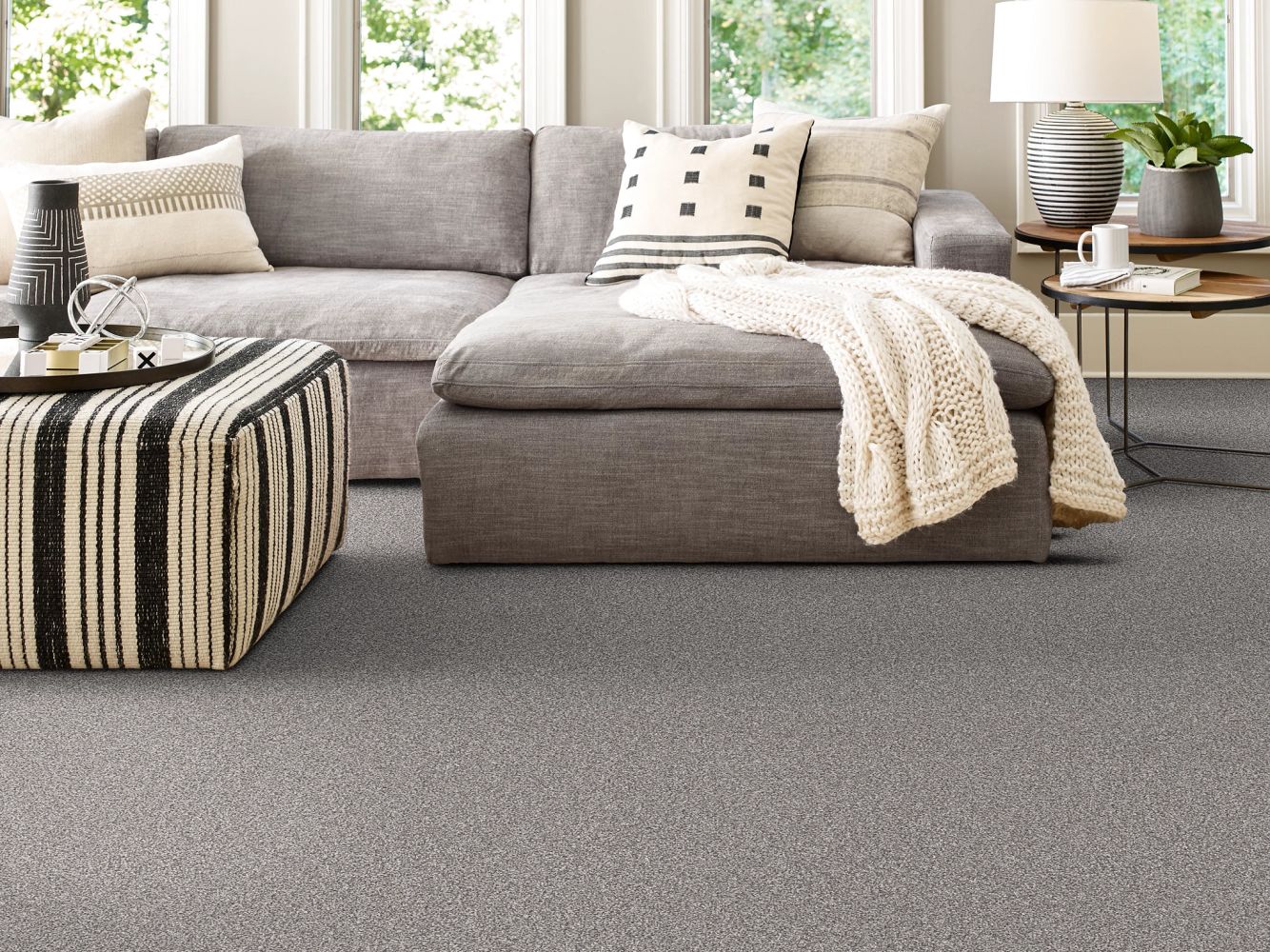Shaw Floors Pet Perfect Plus Artistic Fusion II Vintage 00509_5E575