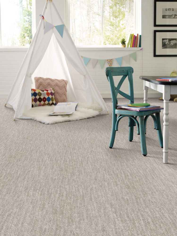 Shaw Floors Pet Perfect Plus Nature Within Washed Linen 00103_5E278