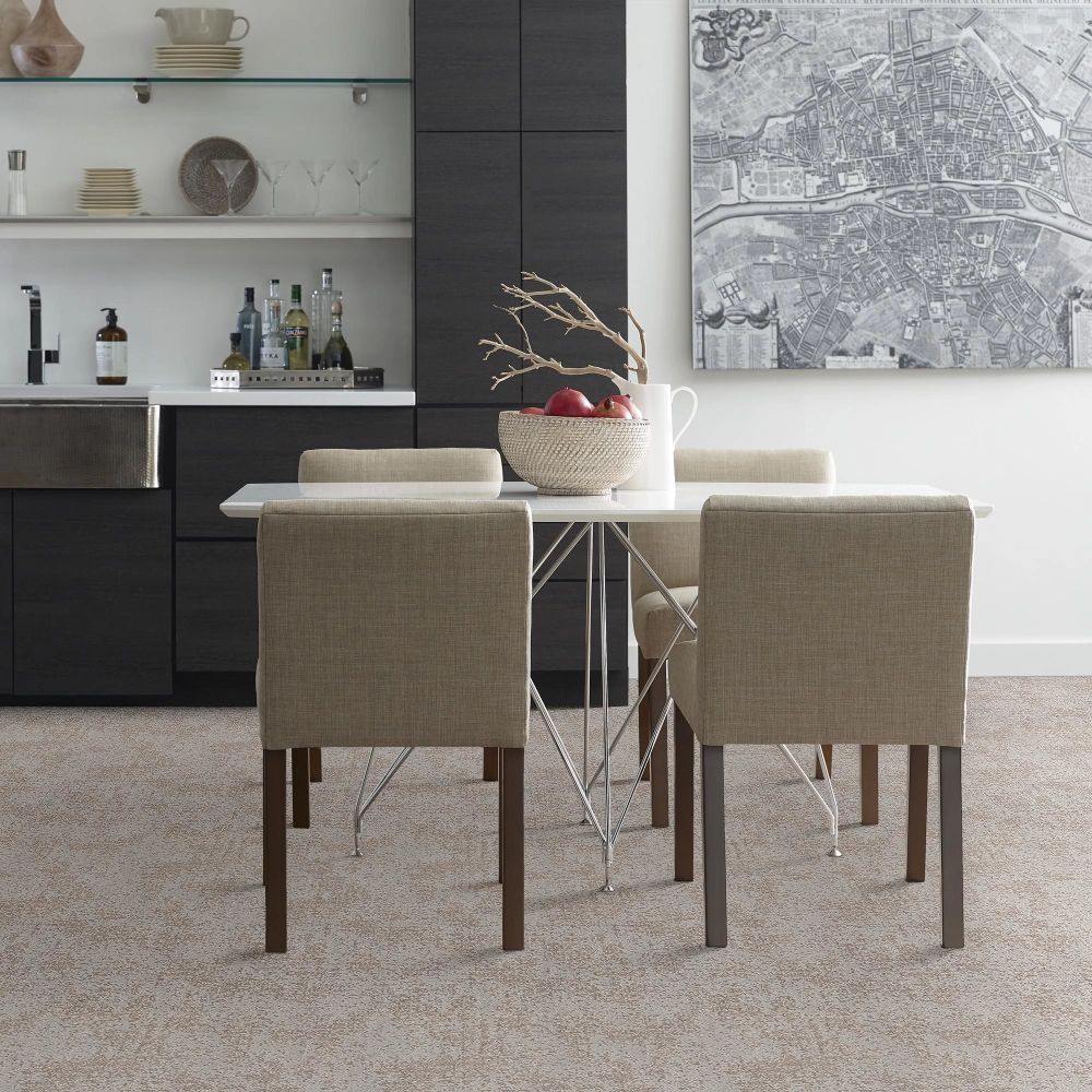 Shaw Floors Caress By Shaw Artistic Presence Cold Winter 00126_CC73B