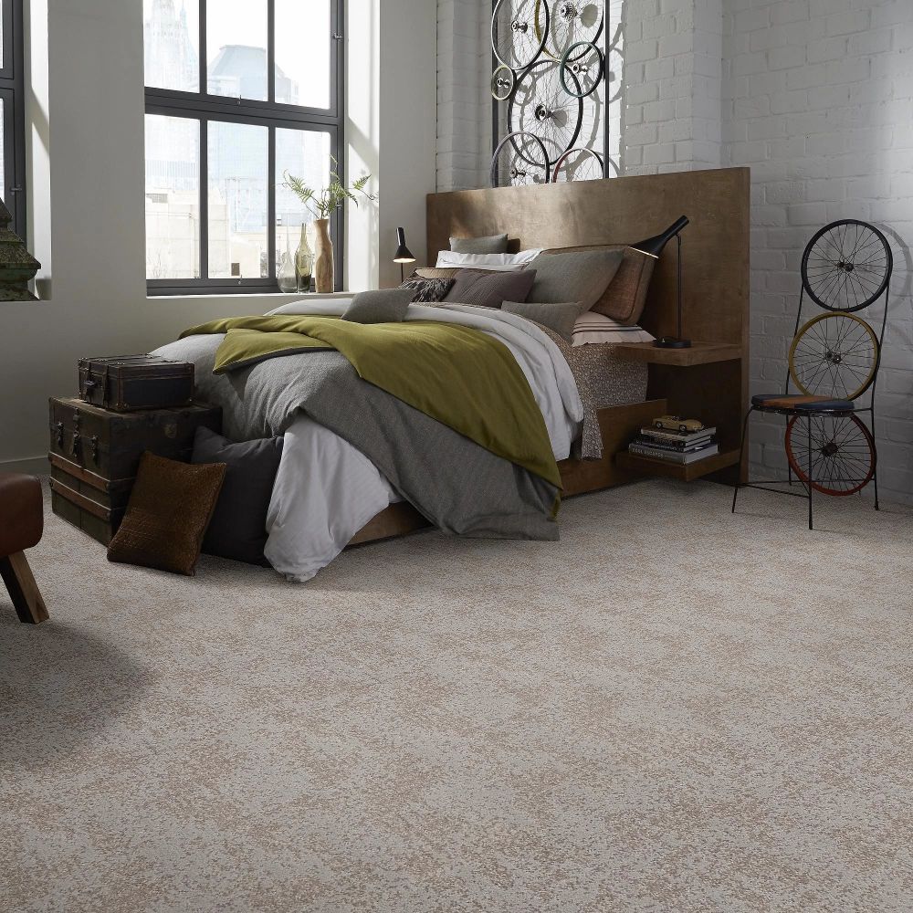 Shaw Floors Caress By Shaw Artistic Presence Cold Winter 00126_CC73B