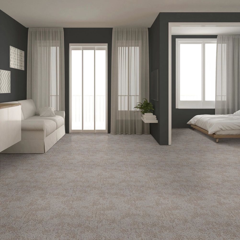 Shaw Floors Caress By Shaw Artistic Presence Cold Winter 00126_CC73B