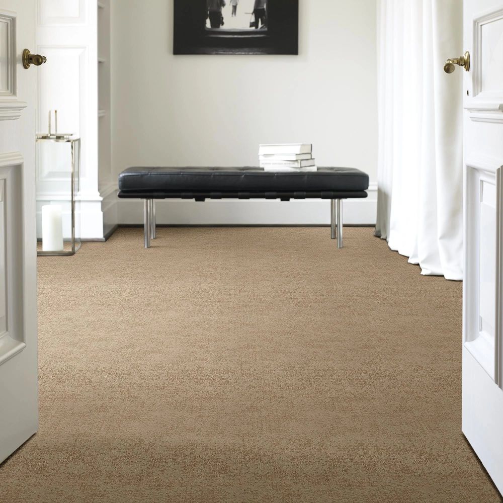 Shaw Floors Caress By Shaw Artistic Presence Natural Beauty 00721_CC73B