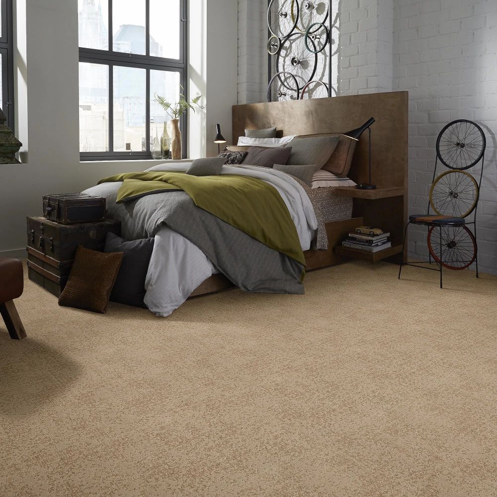 Shaw Floors Caress By Shaw Artistic Presence Natural Beauty 00721_CC73B