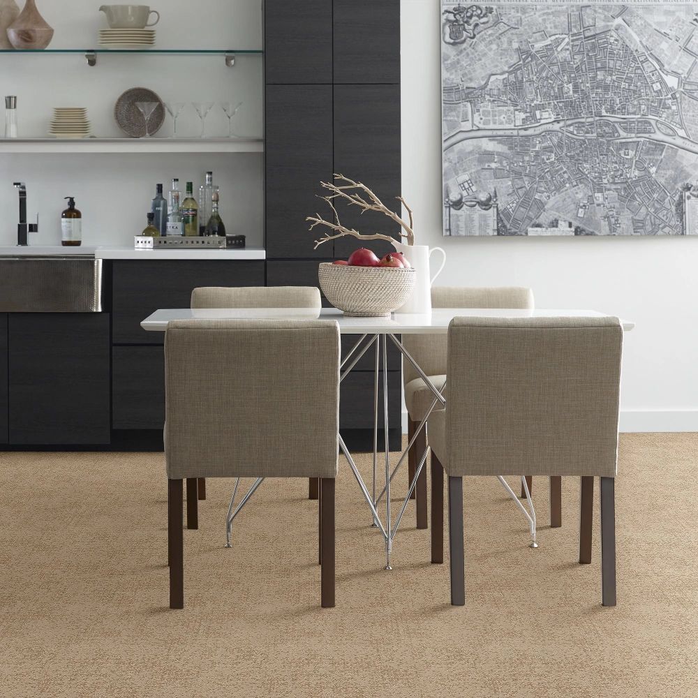 Shaw Floors Caress By Shaw Artistic Presence Natural Beauty 00721_CC73B