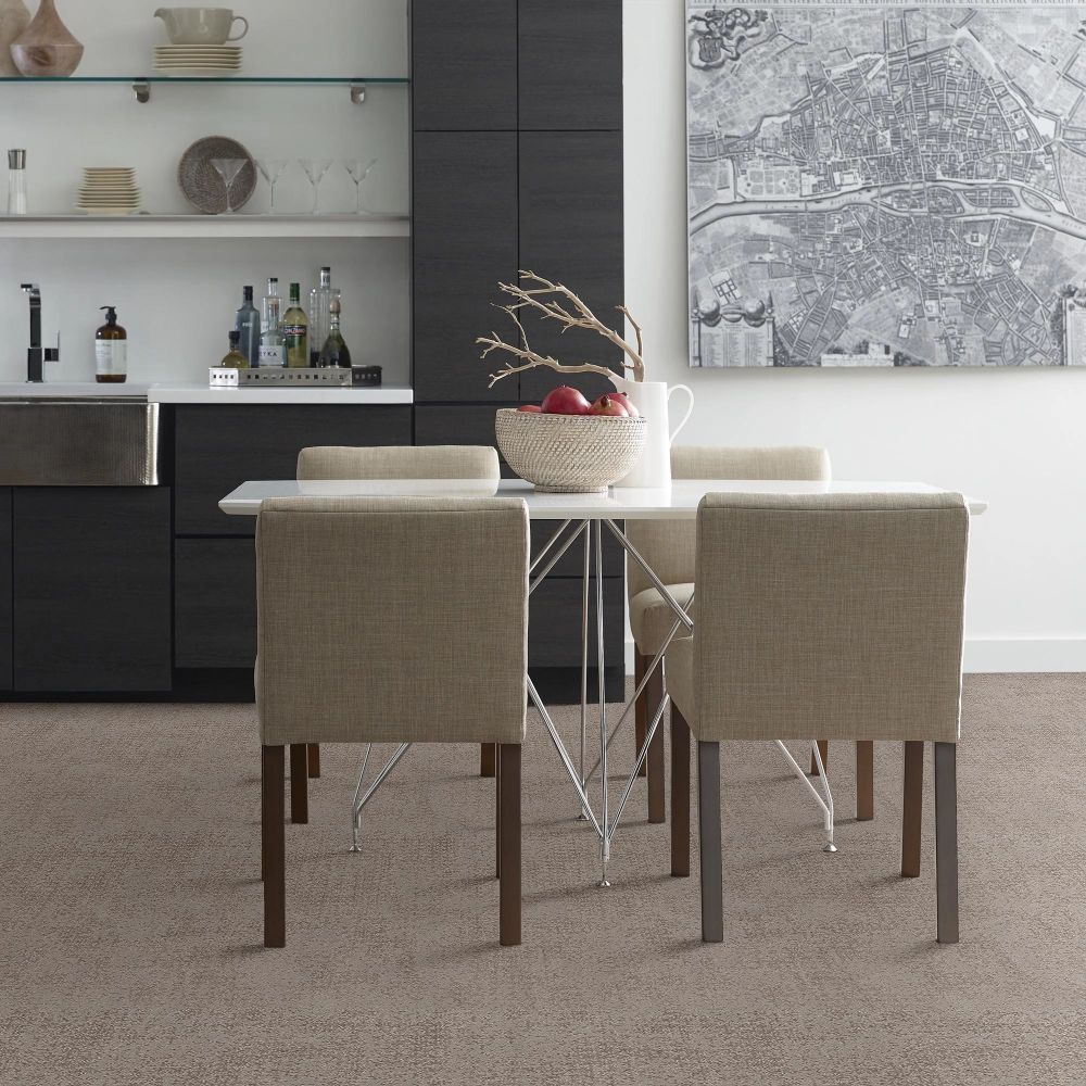 Shaw Floors Caress By Shaw Artistic Presence Stucco 00724_CC73B