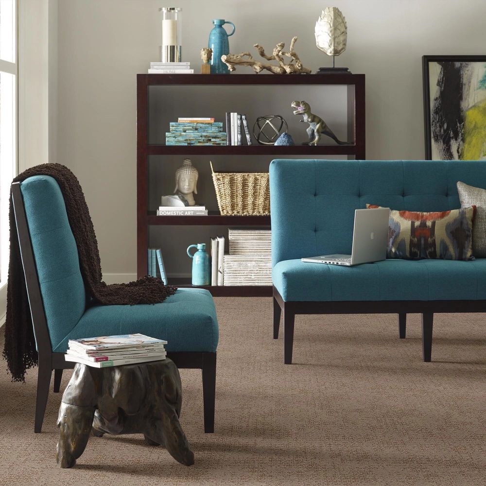 Shaw Floors Caress By Shaw Artistic Presence Tumbleweed 00749_CC73B