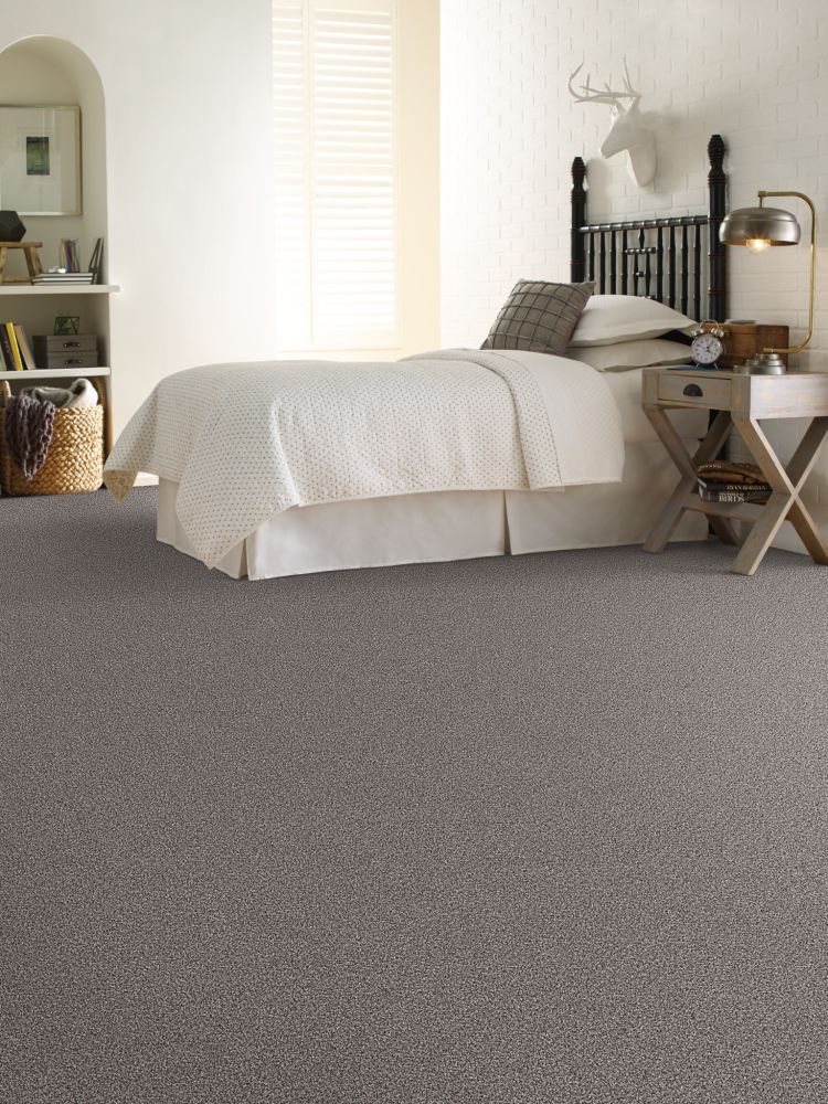 Shaw Floors Pet Perfect Plus Calm Simplicity II Silver Lining 00510_5E273
