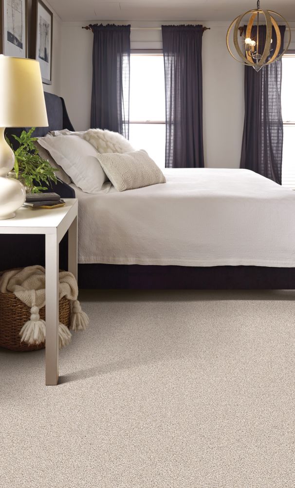 Shaw Floors Pet Perfect Plus Calm Serenity II Washed Linen 00103_5E272