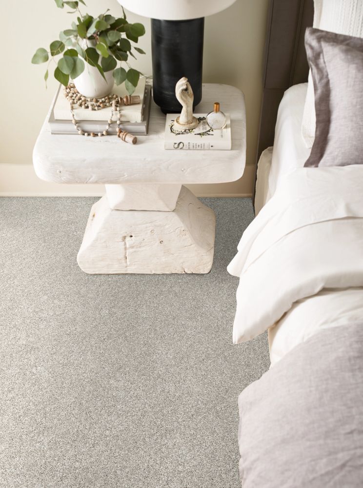 Shaw Floors Pet Perfect Plus Bold Move Plus Winter Sky 00540_5E840