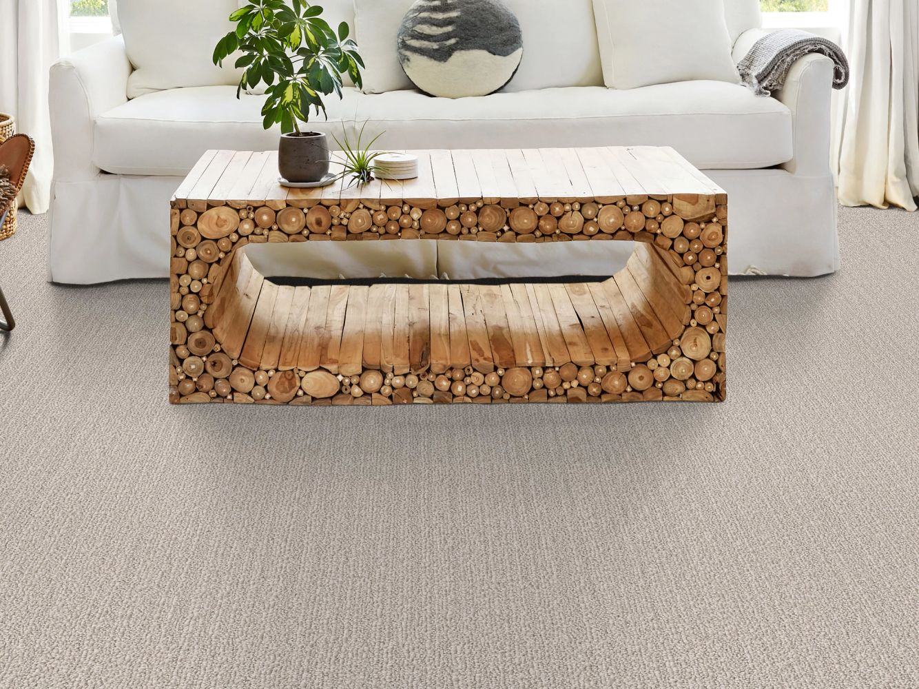 Shaw Floors Pet Perfect Plus Natural Embrace Sand Dunes 00102_5E877