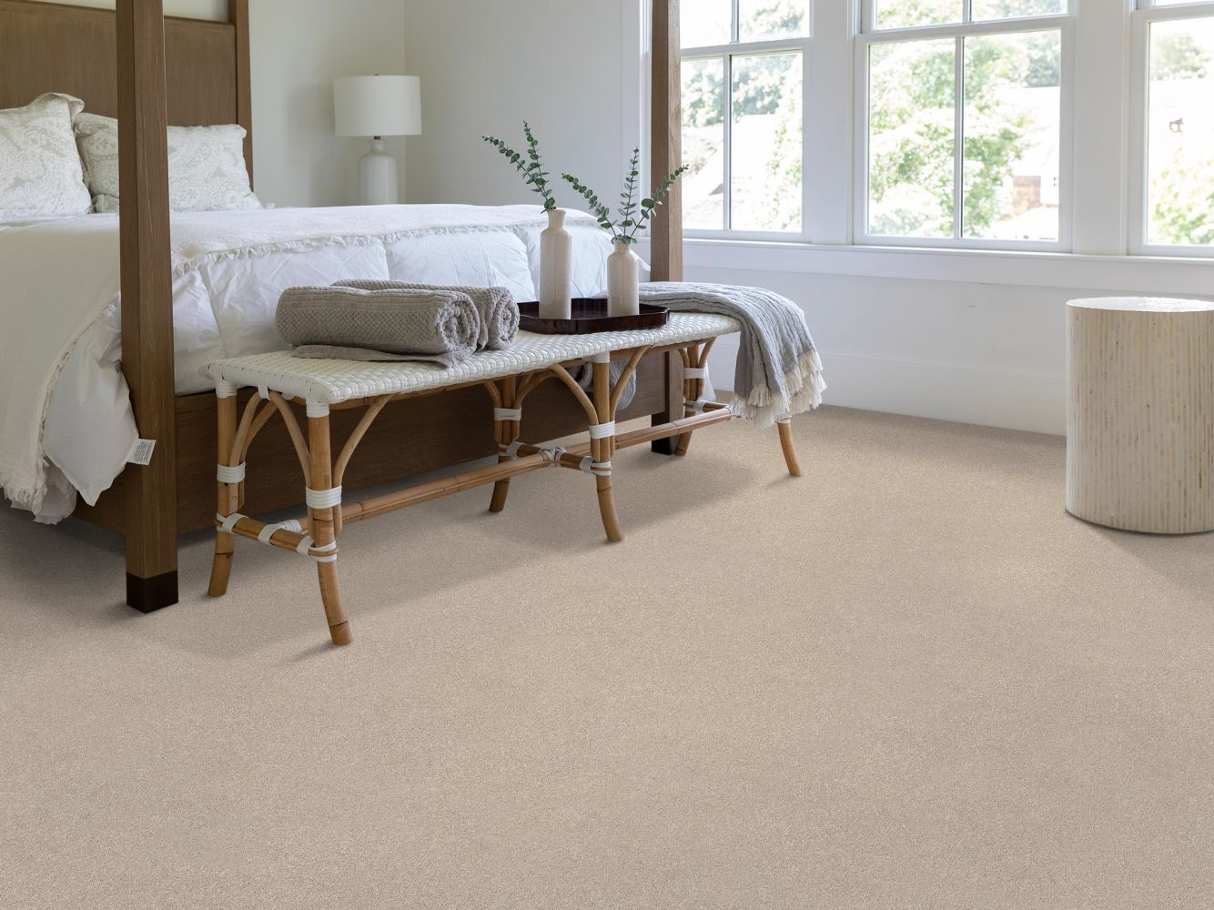 Shaw Floors PET PERFECT PLUS Vivid Touch II Cafe Latte 00122_5E874