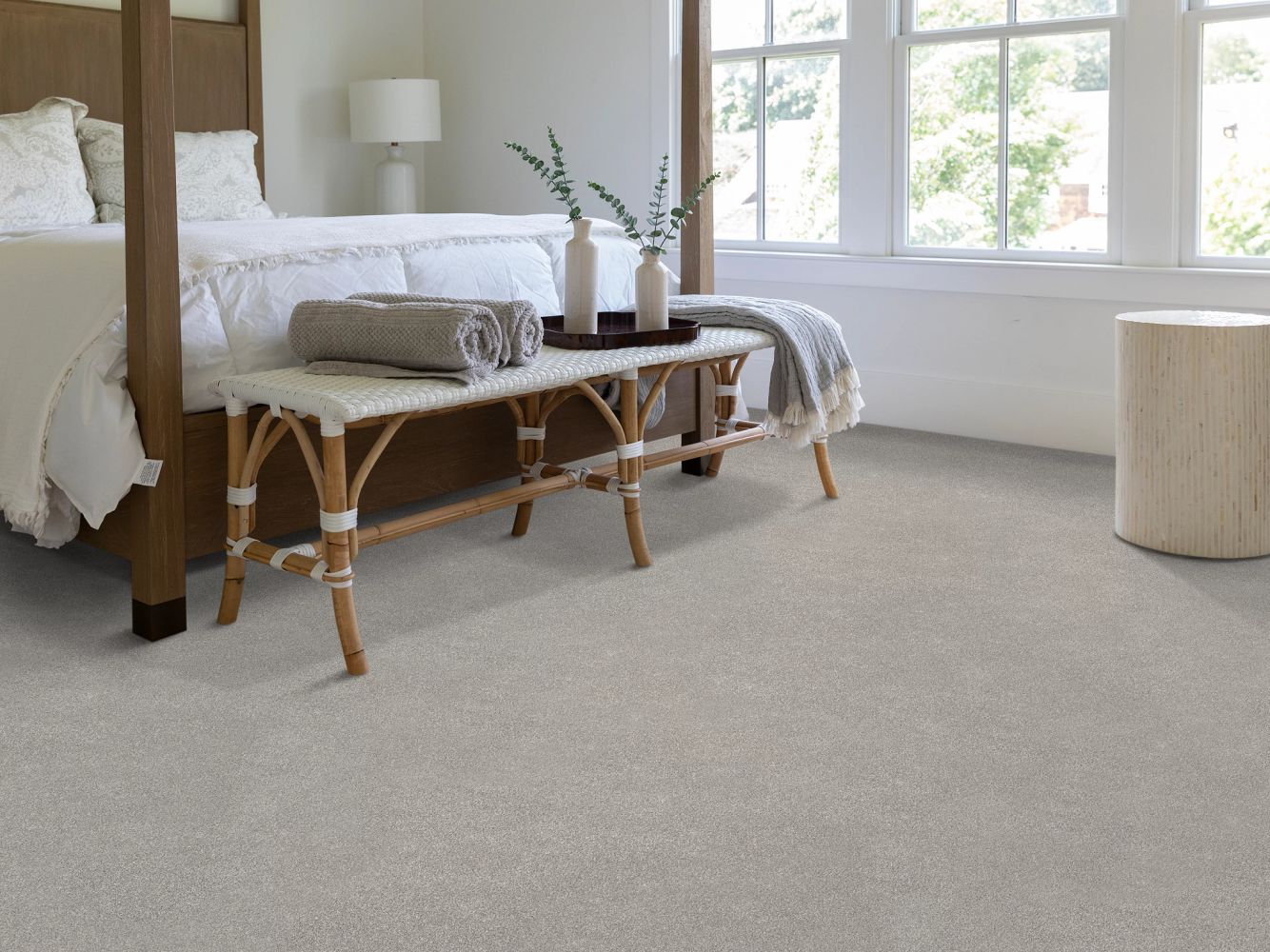 Shaw Floors PET PERFECT PLUS Vivid Touch II Four Winds 00520_5E874