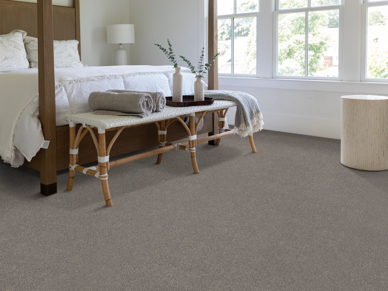 Shaw Floors PET PERFECT PLUS Vivid Touch II Shadows 00524_5E874