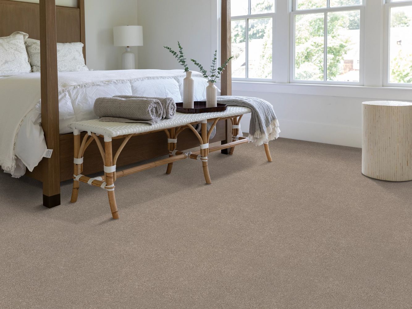 Shaw Floors PET PERFECT PLUS Vivid Touch II Mocha 00721_5E874