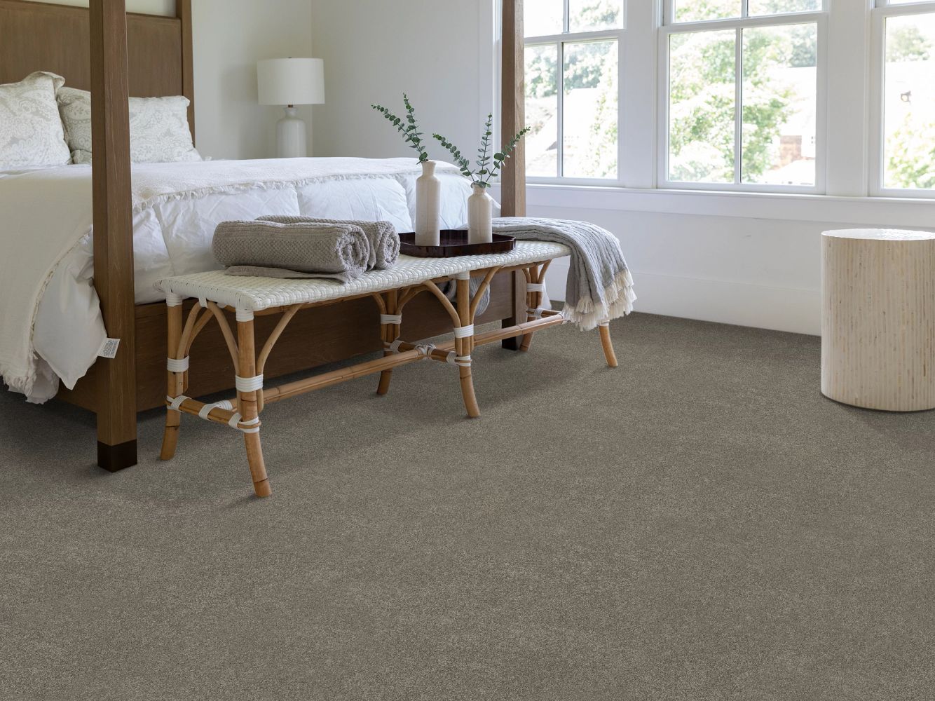 Shaw Floors PET PERFECT PLUS Vivid Touch II Hideaway 00722_5E874