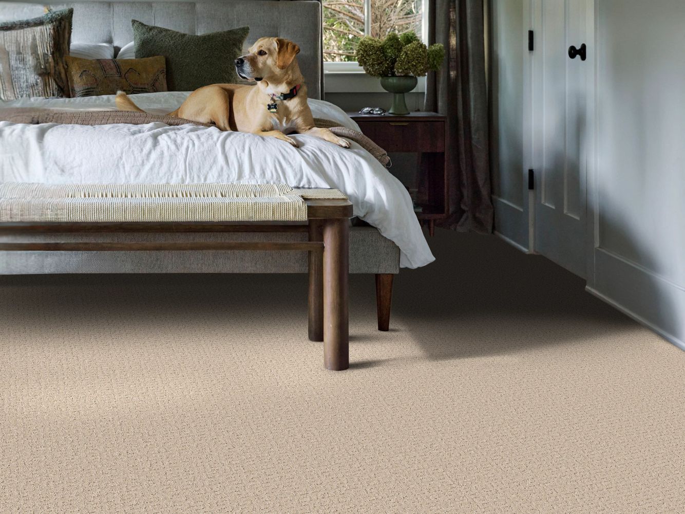 Shaw Floors Pet Perfect Plus Secret Journey Dune View 00120_5E875