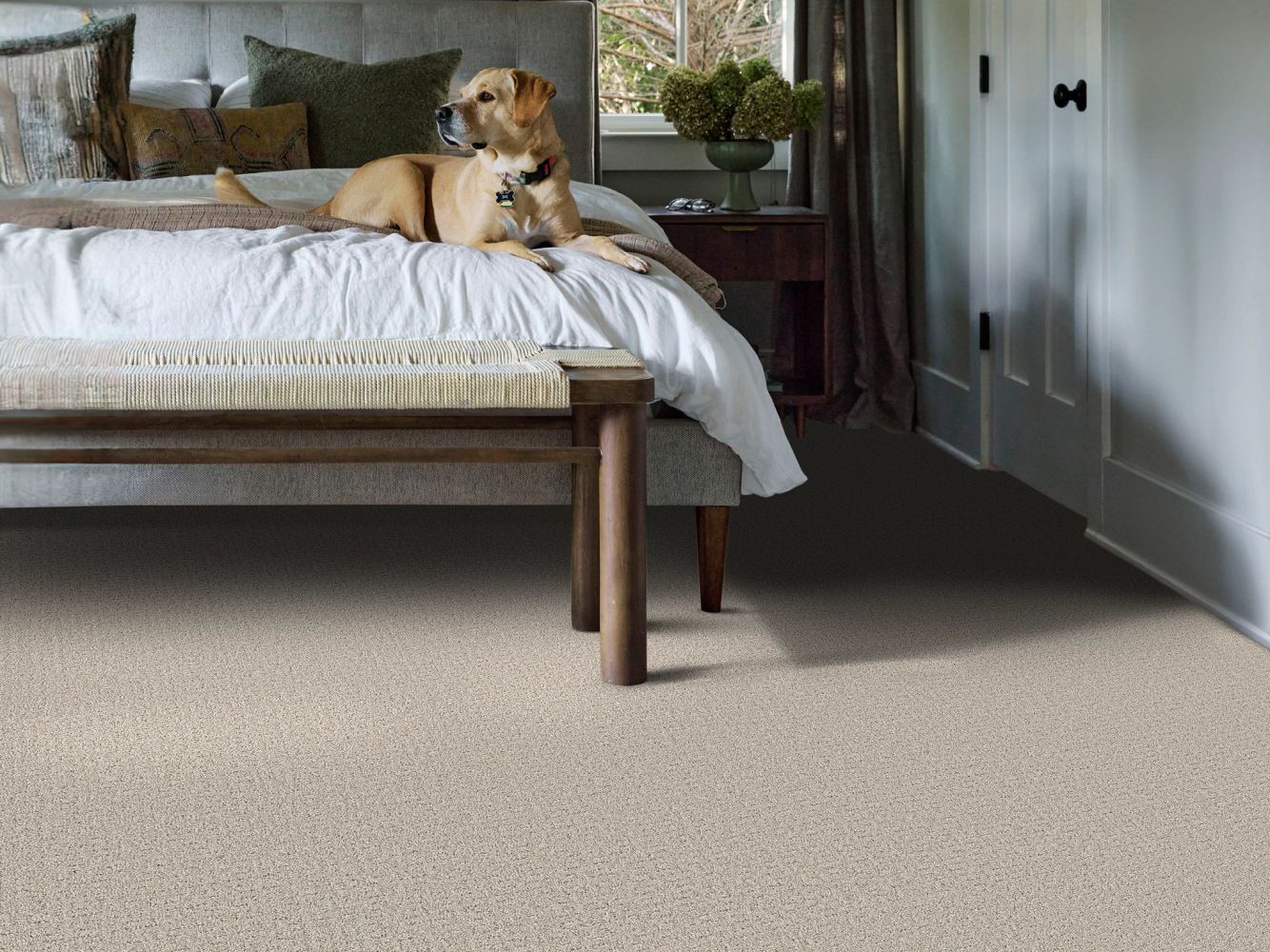 Shaw Floors Pet Perfect Plus Secret Journey Beige Mist 00121_5E875